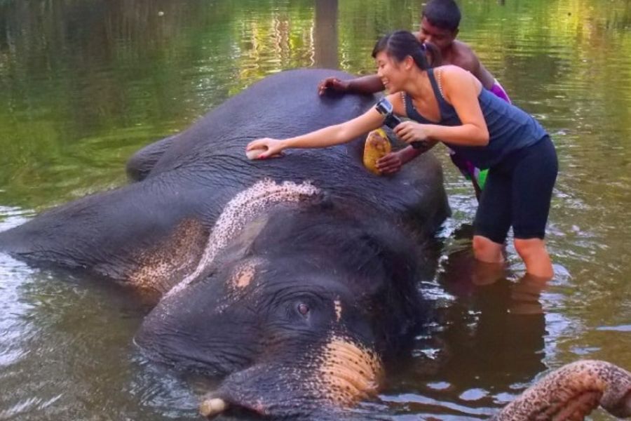 Spend a day with an elephant in Sri Lanka 