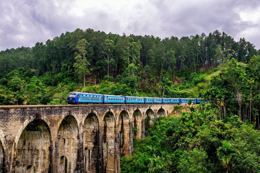 Train Tours