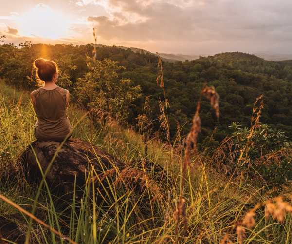 Monthly News Bulletin - June 2022